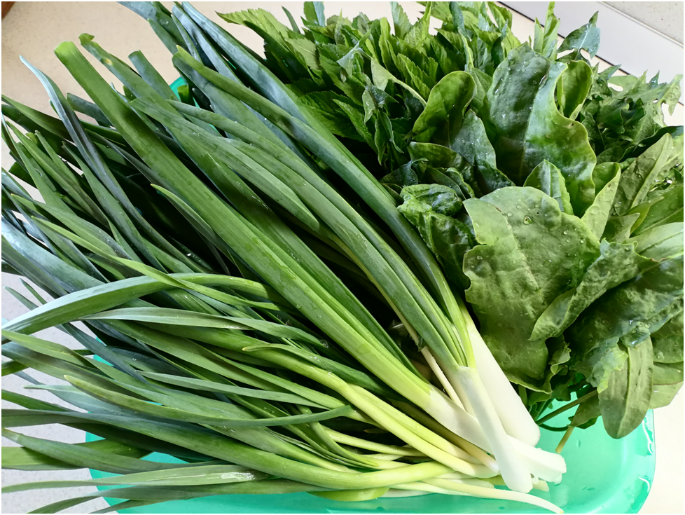 Личное фото автора.