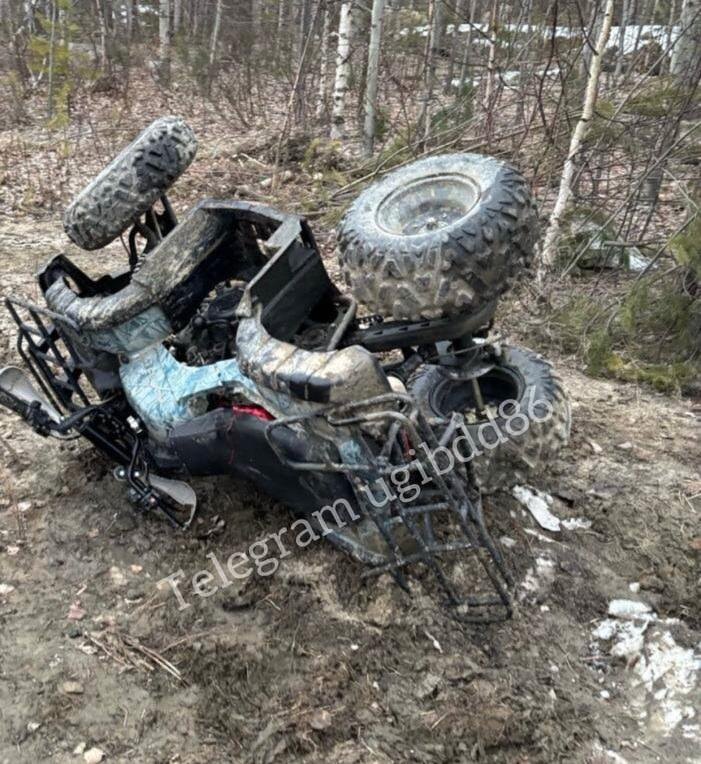    Без страха, без прав, без головы