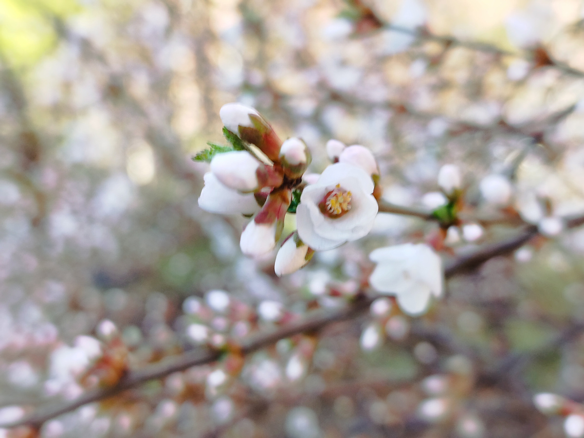 Вчерашнее фото из личного архива автора