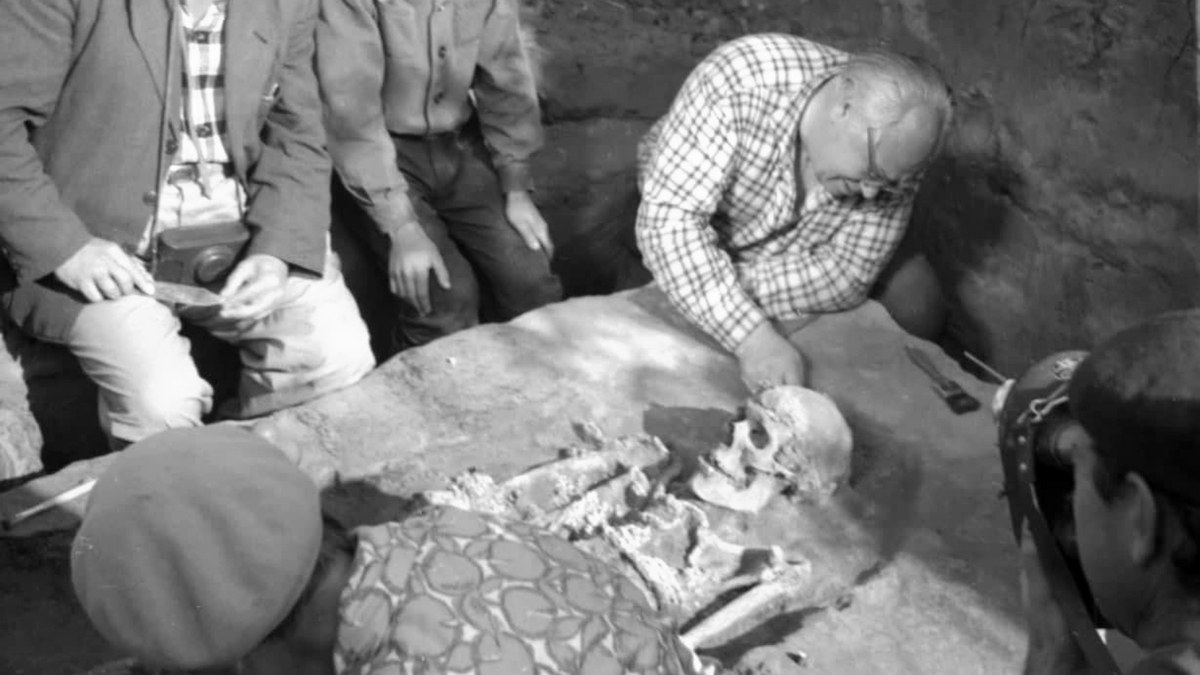 Расчистка мужского погребения на верхнепалеолитической стоянке Сунгирь, 1964 г.