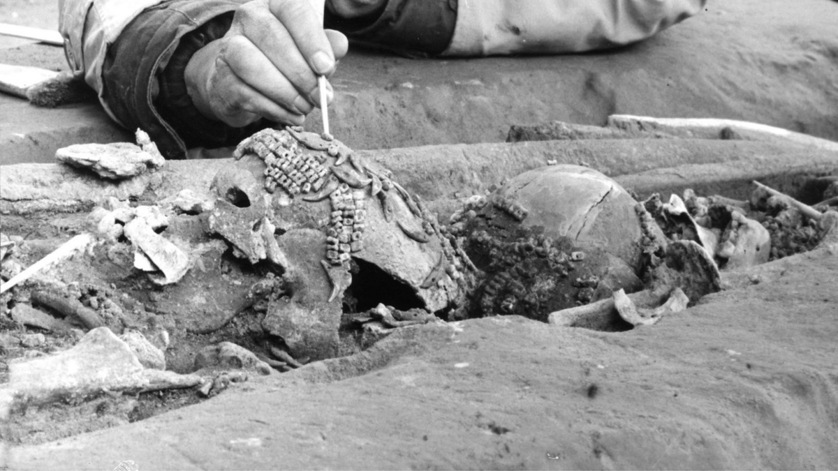 Расчистка погребения детей на стоянке Сунгирь, 1969 г.