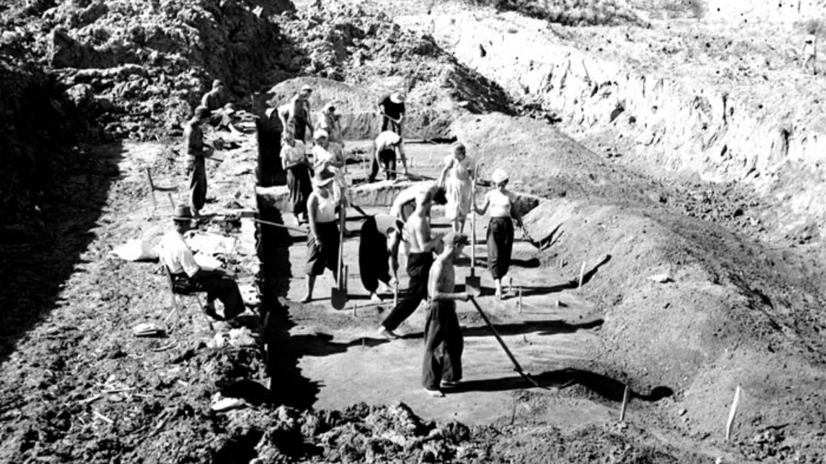 Археологические раскопки на верхнепалеолитической стоянке Сунгирь, Шлионский Г.Б., 1958 год