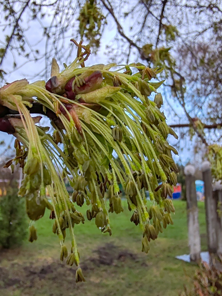 Снимать мне нравится больше в вертикальном положении, так лучше вижу кадр