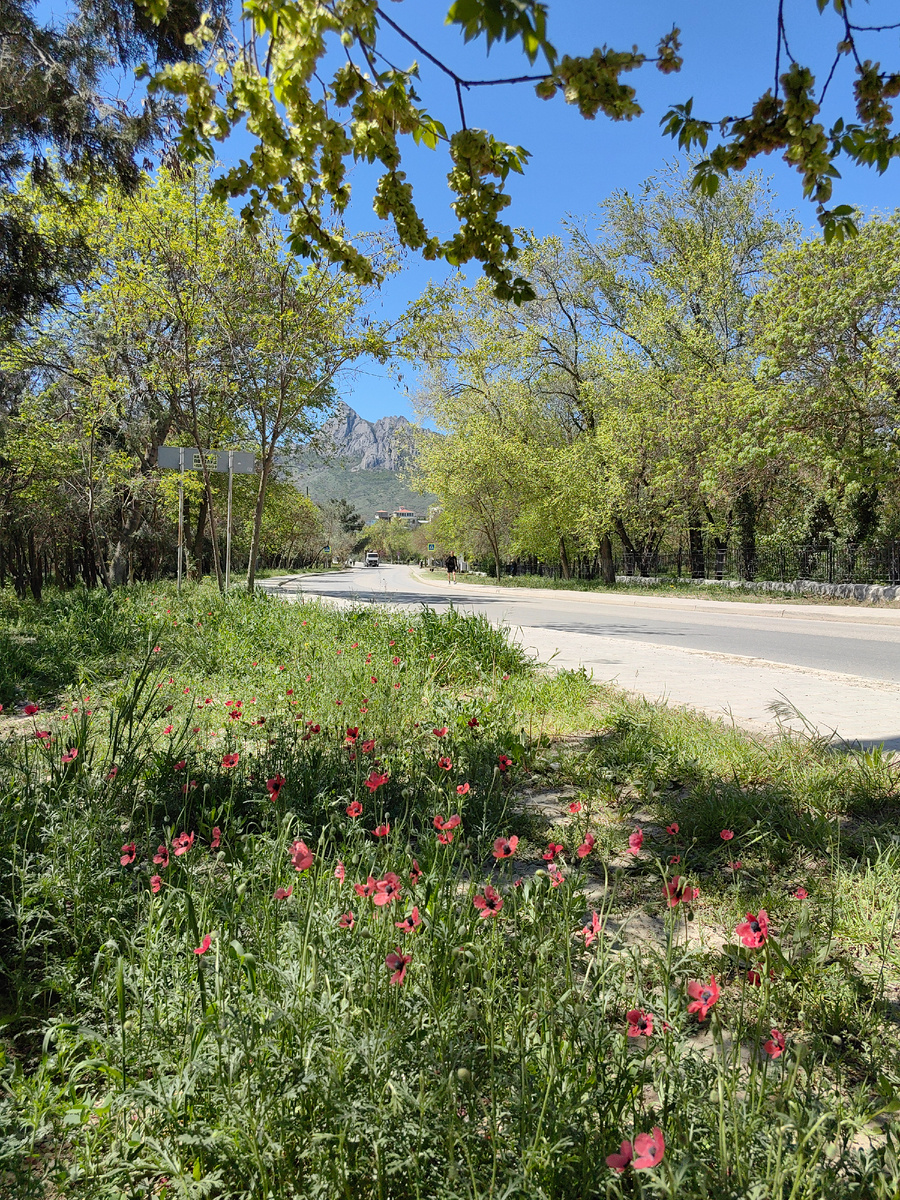 Фото автора канала