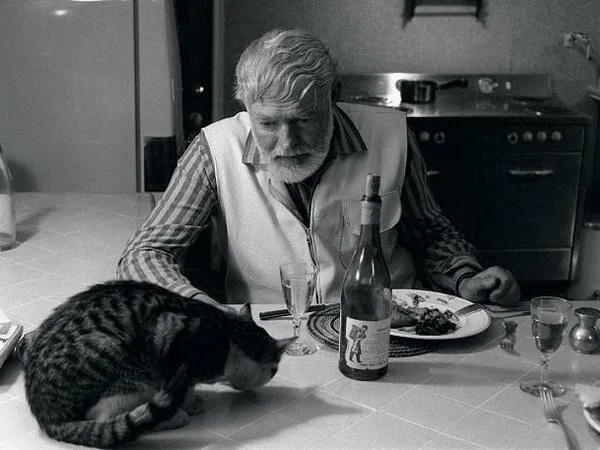 Хэмингуэй тоже очень любил кошек. Ну и я тоже. Надеюсь писать со временем иолучится не жухе. Картинка из открытых источников.