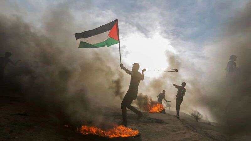    Фото: hosny f. salah/Shutterstock/Fotodom