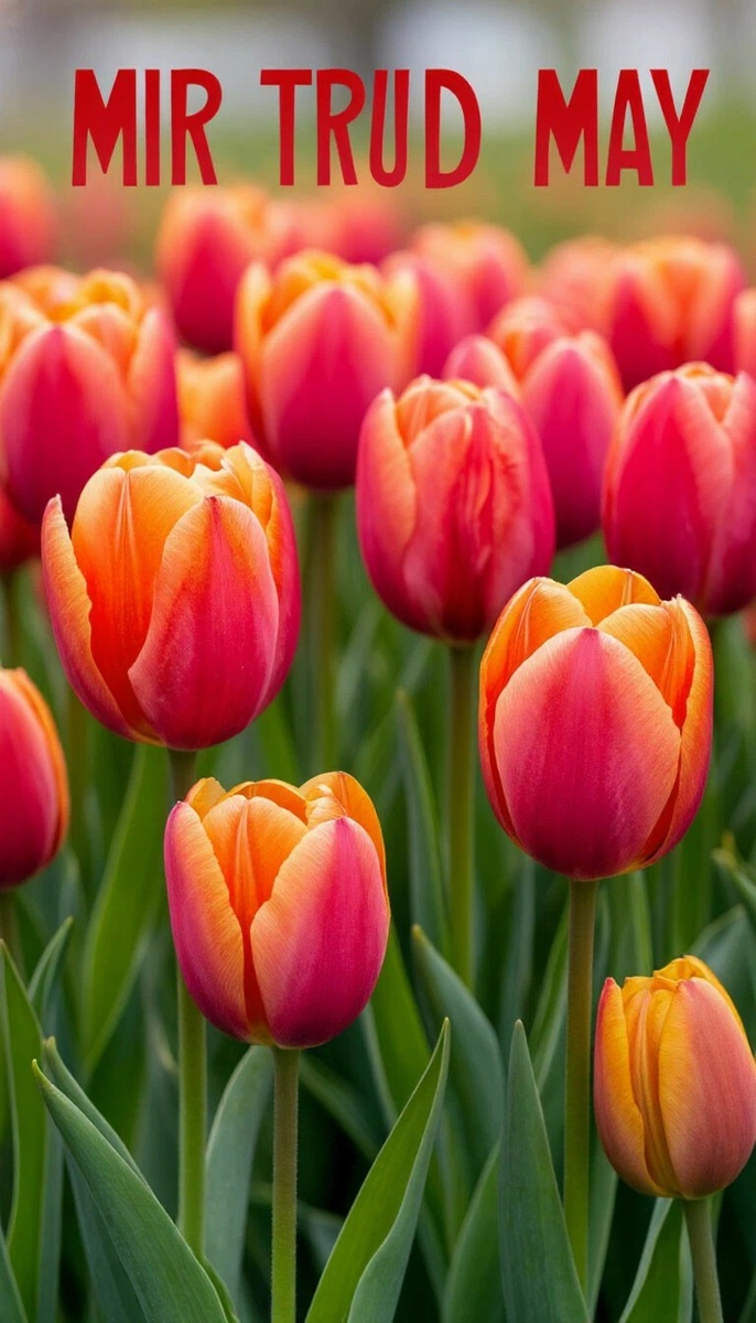 Фото автора сделано с уважением 