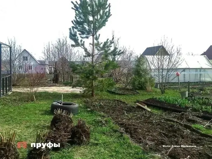    Фото: Пруфы.рф