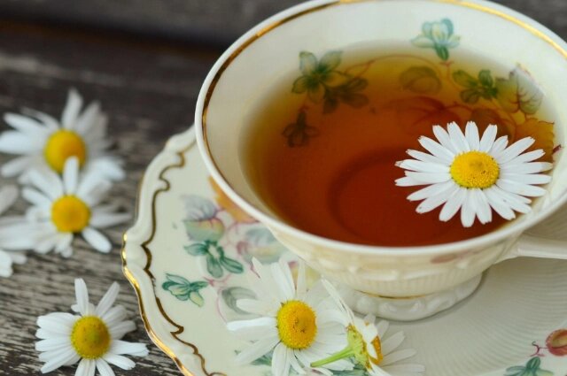    Хабаровский чай, ромашка, туризм Фото: пресс-служба правительства Хабаровского края