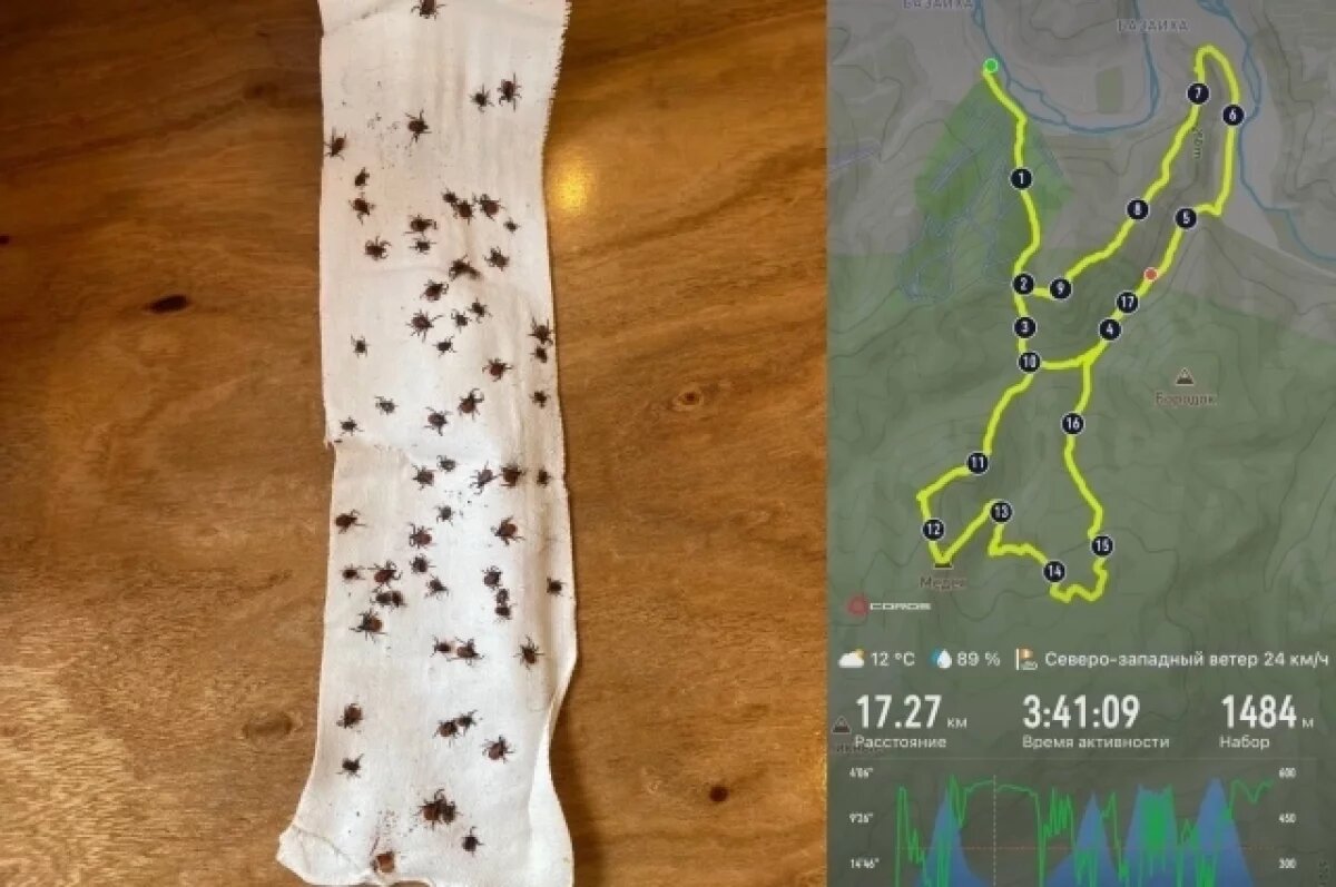    Маршрут, после пробежки по которому мужчина снял с себя такое количество клещей.