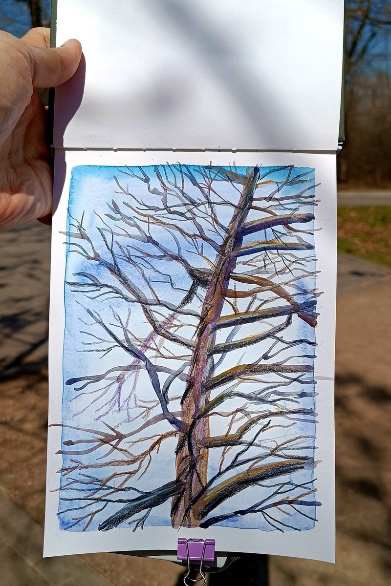 Рисунок автора канала.