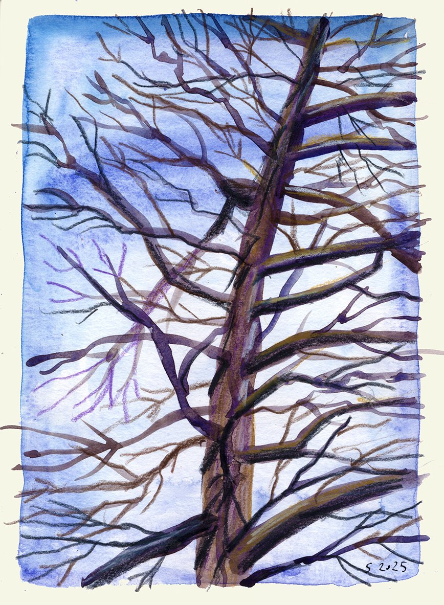 Рисунок автора канала.