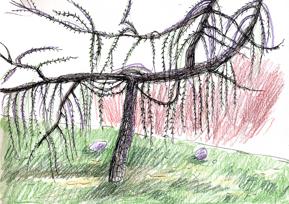 Рисунок автора канала, ну позорный достаточно)