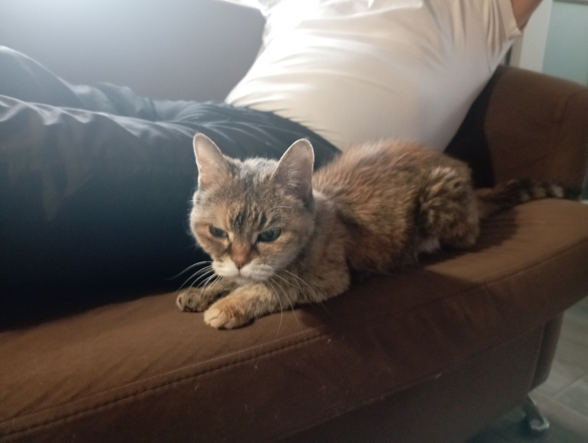 Диванчик у нас размера S . Даже худенькая Элис поместилась только с краю. 