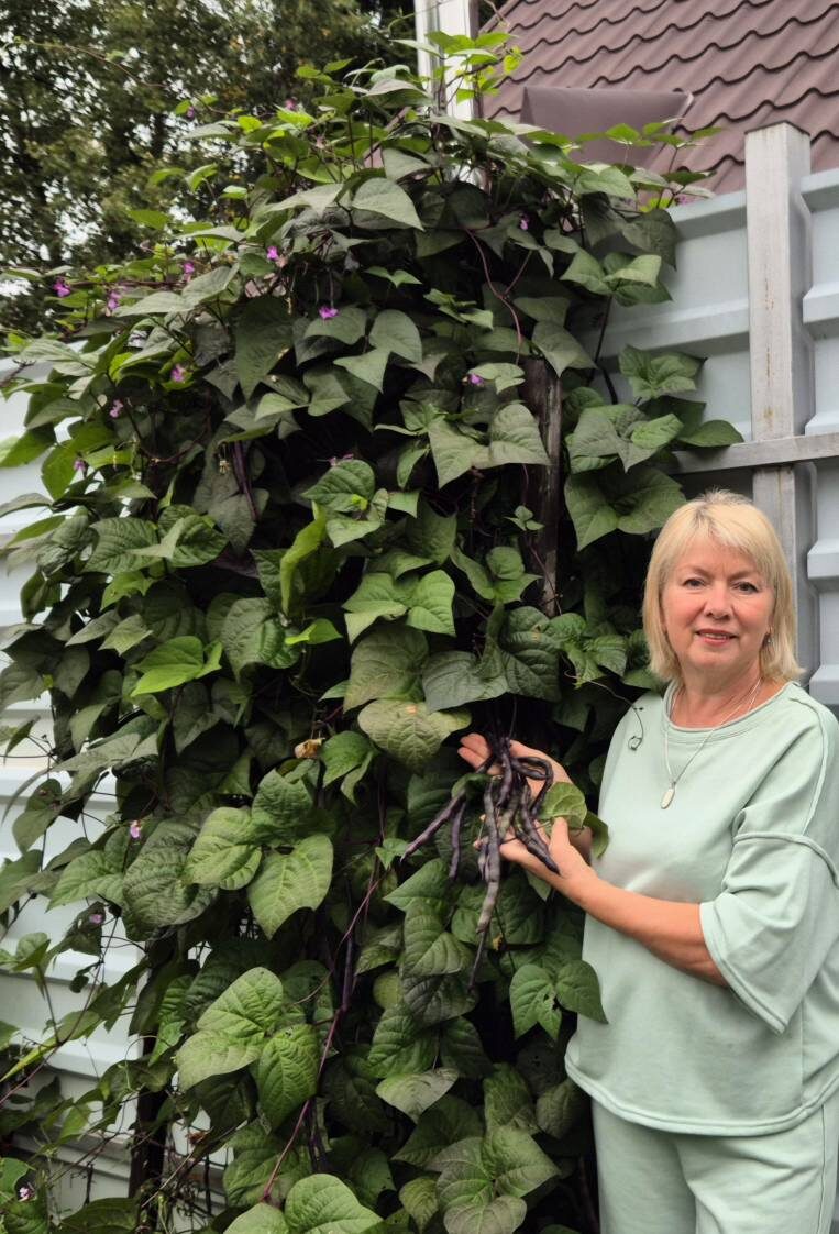 Блюхильда выросла выше забора . 