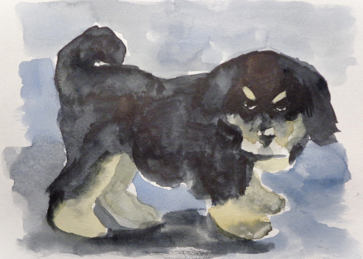 Щенок оказался совсем не так прост, как это может показаться