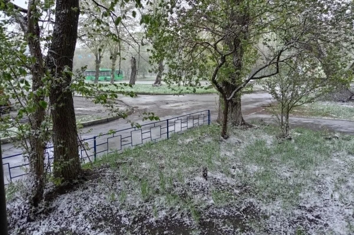    В начале месяца в регионе ожидаются осадки в виде мокрого снега и дождя