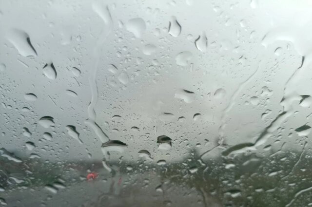    В майские праздники в регионе будет ветреная и дождливая погода. Фото:  АиФ/ Анна СИНГОСИНА