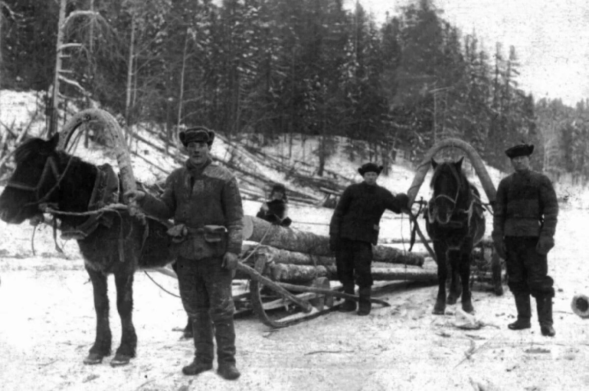    Труд спецпереселенцев на рыбоперерабатывающих предприятиях, в сельском хозяйстве и на лесозаготовках был неоценим.