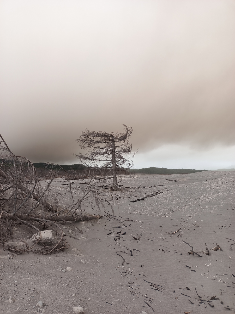 Пепловый выброс вулкана Шивелуч, первые дни маршрутов. Фото автора.