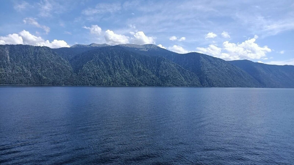     Источник: gorod55.ru