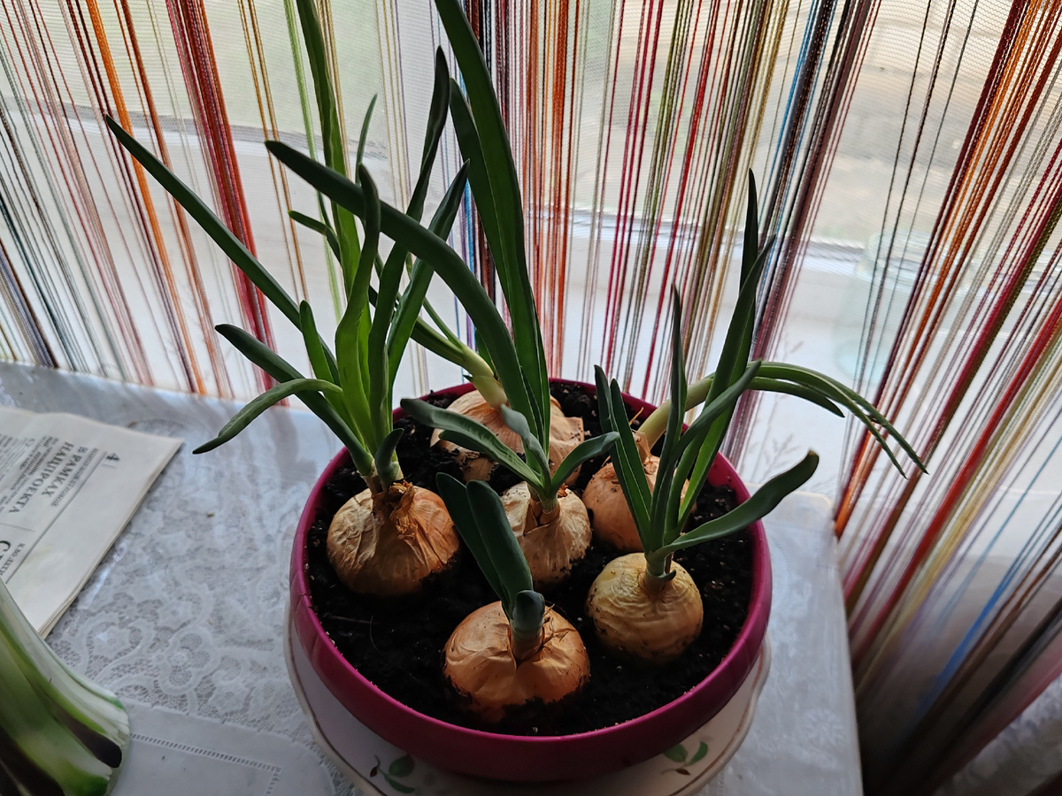 Фото автора канала. 