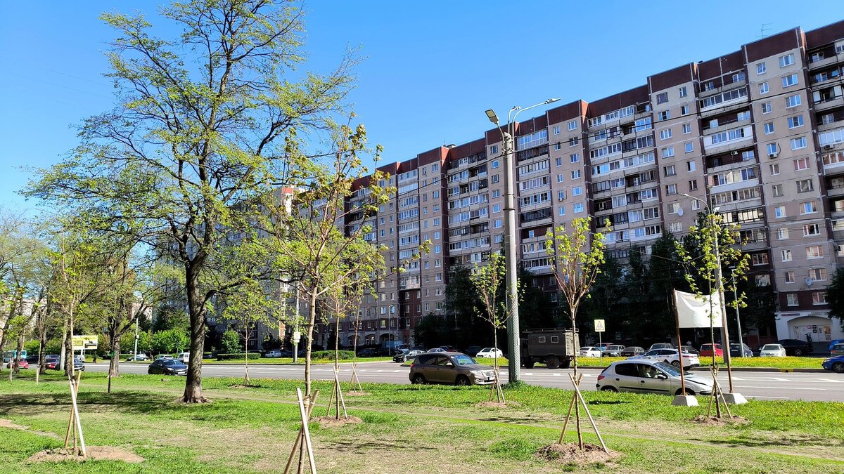    Фото: globallookpress.com/Maksim Konstantinov