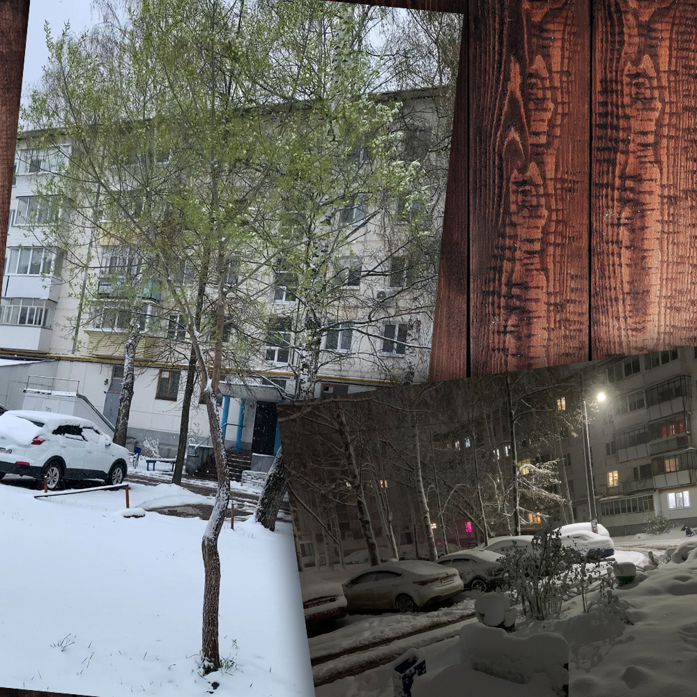 За ночь снега навалило, а через день уже растаял