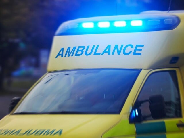    Фото: 123RF/chalabala