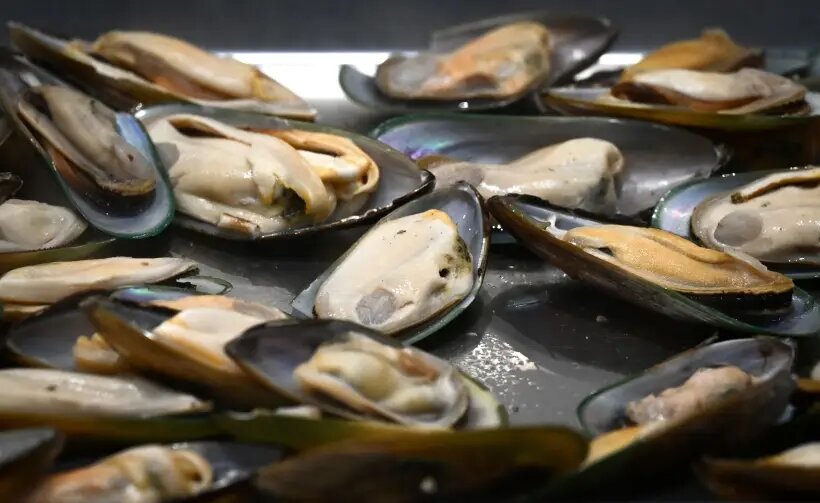 Что происходит с телом, если есть мидии. Вкусные рецепты