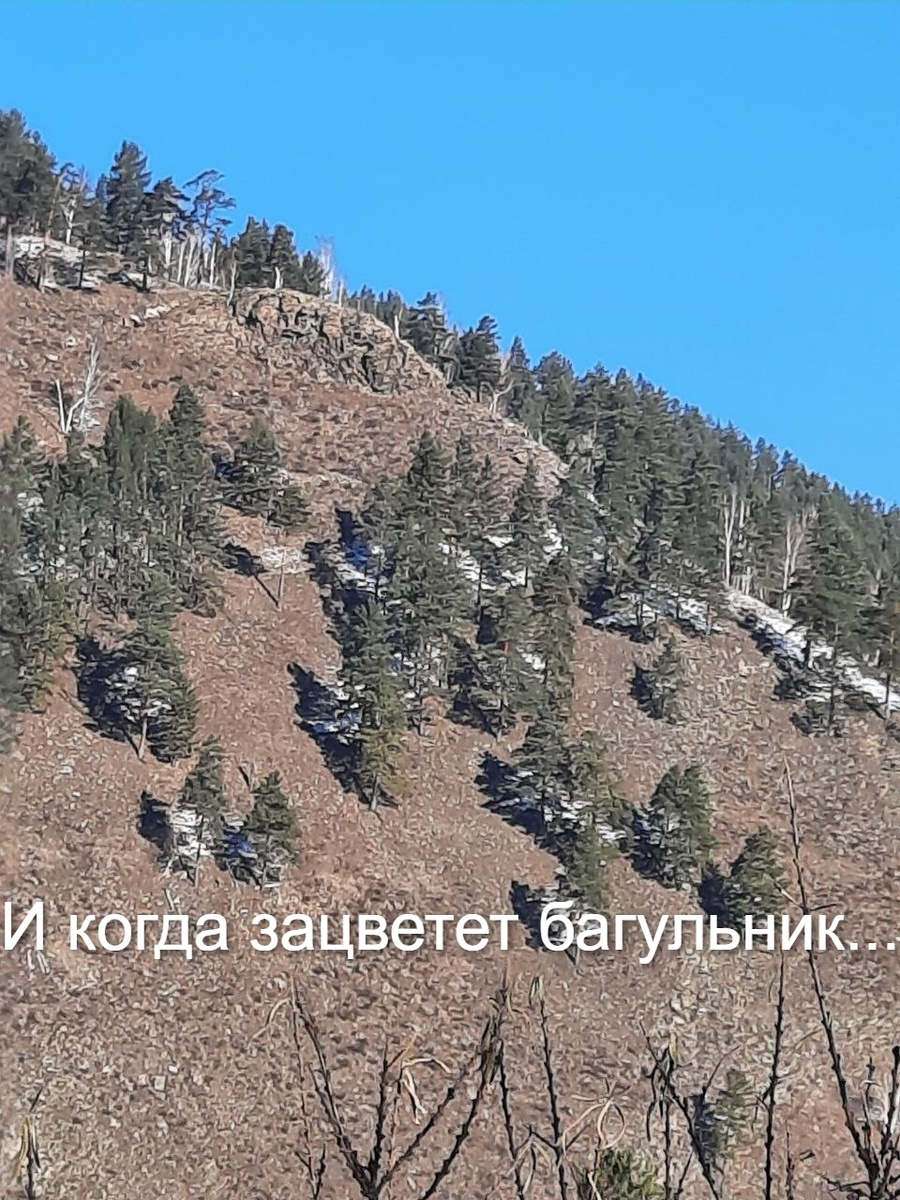 Фото автора.