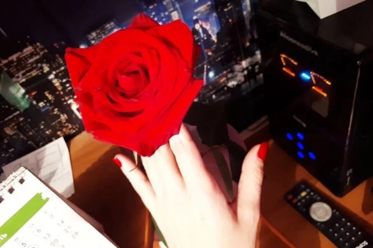    Тюменские агрономы рассказали о подкормке роз для пышного цветения