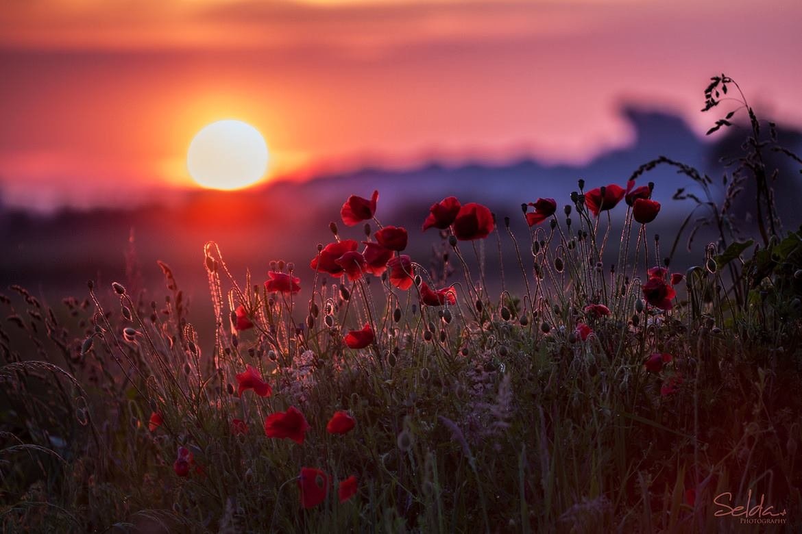 картинка из интернета