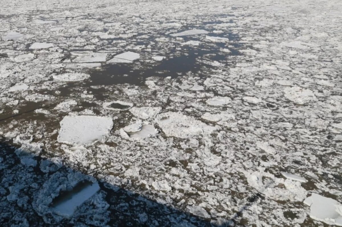    Ледоход на Оби в районе Нижневартовска ожидается на днях