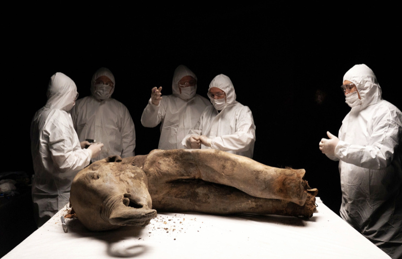 Фото: Студмедиацентр СВФУ