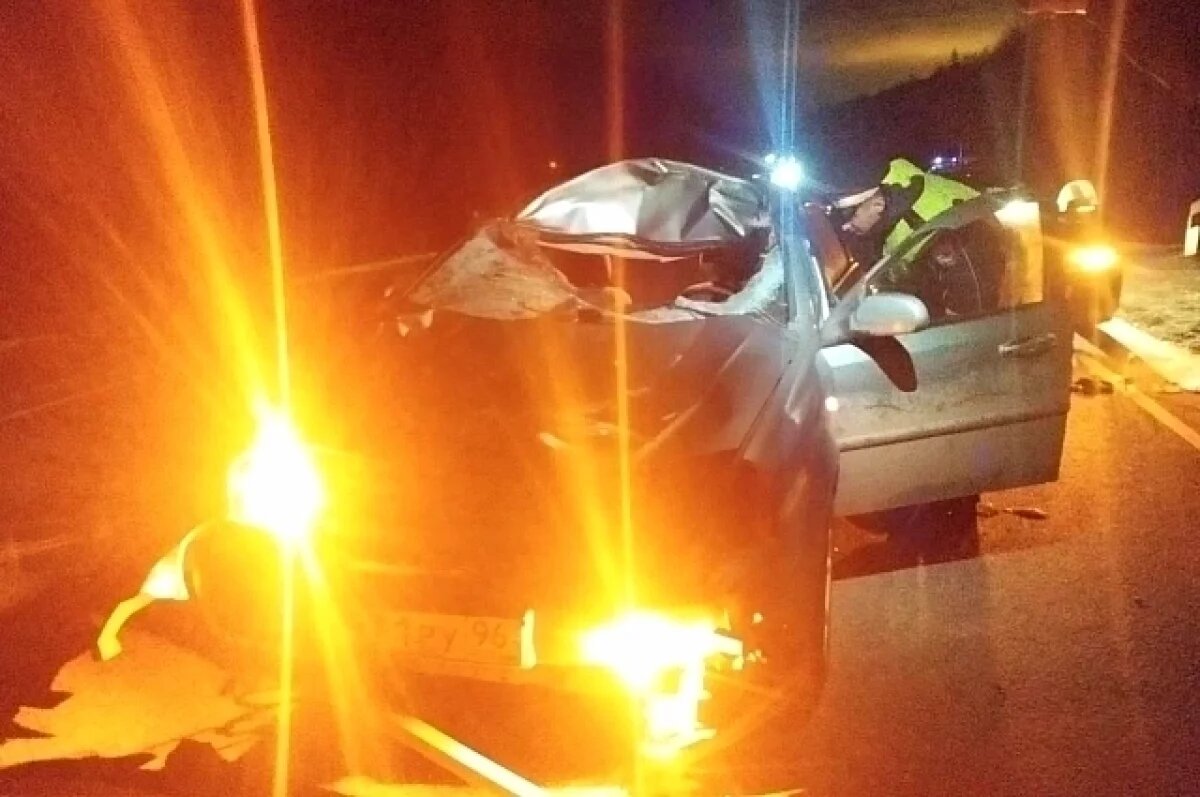    Два человека пострадали в ДТП с лосем на уральской трассе