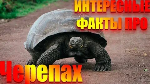 Всем привет извините за долгое отсутствие, а ещё поздравляю всех с 1 мая.