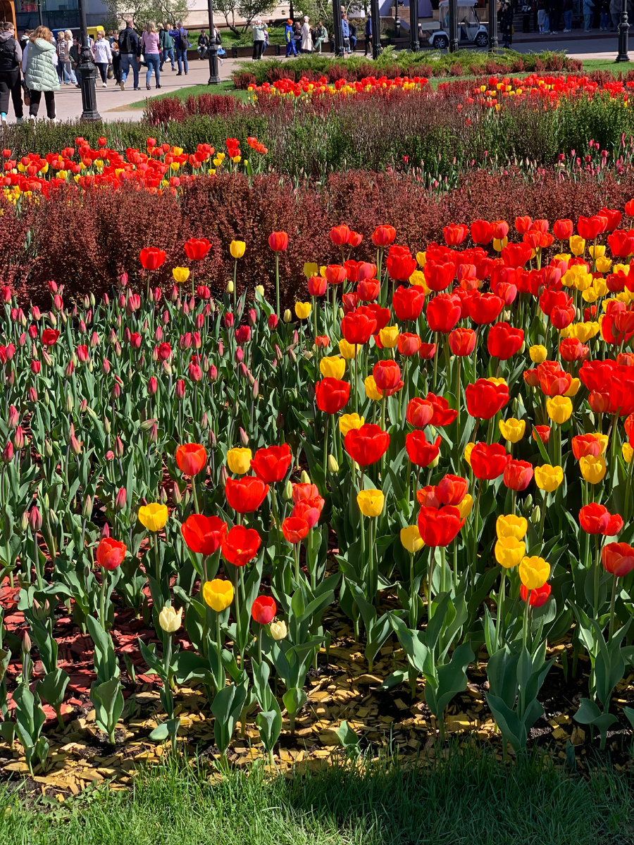 Личное фото. 
