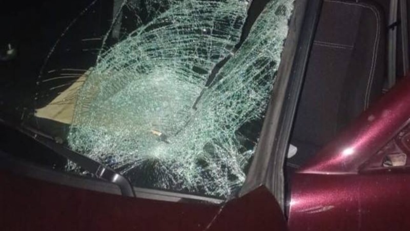      Фото: УГИБДД по СК