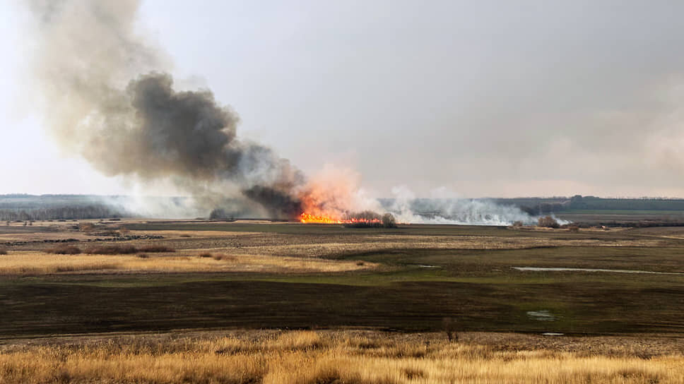 Фото: Мария Старикова / Коммерсантъ