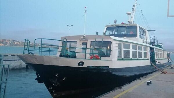    © Telegram Михаил Развожаев