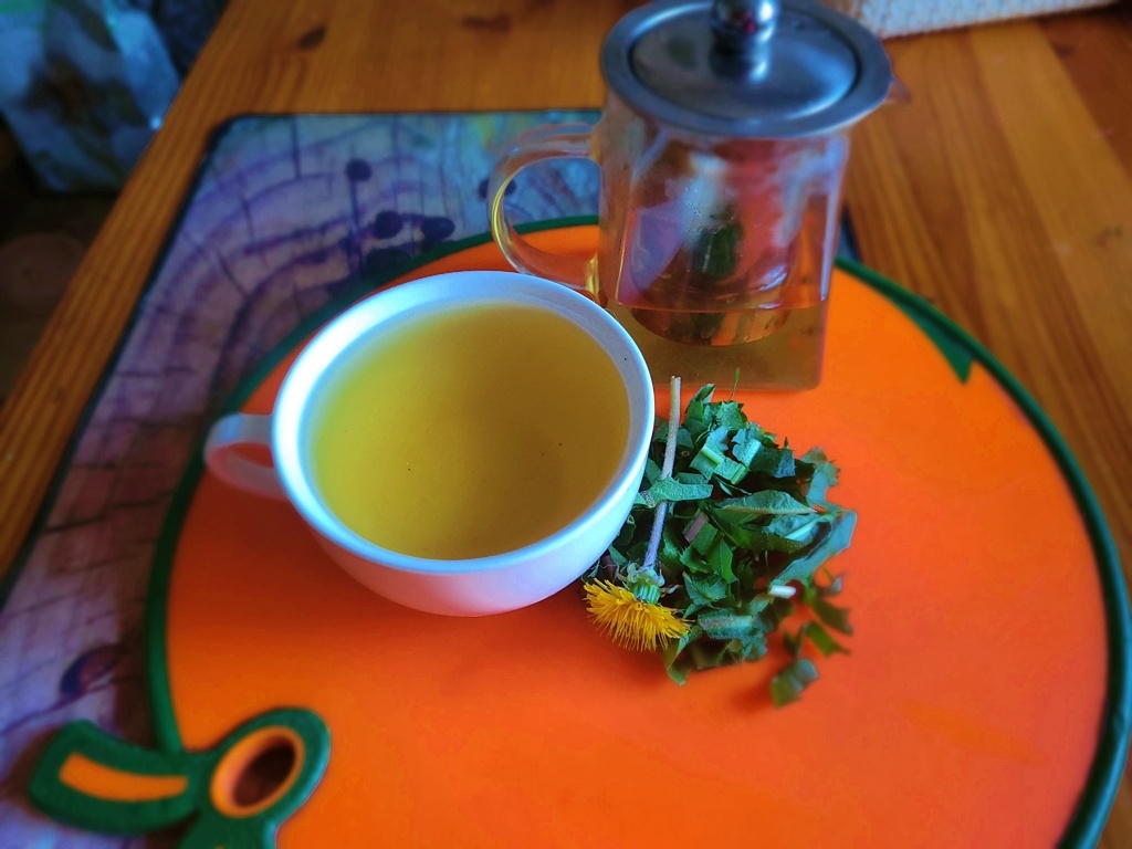 Настой из одуванчика(Фото автора)