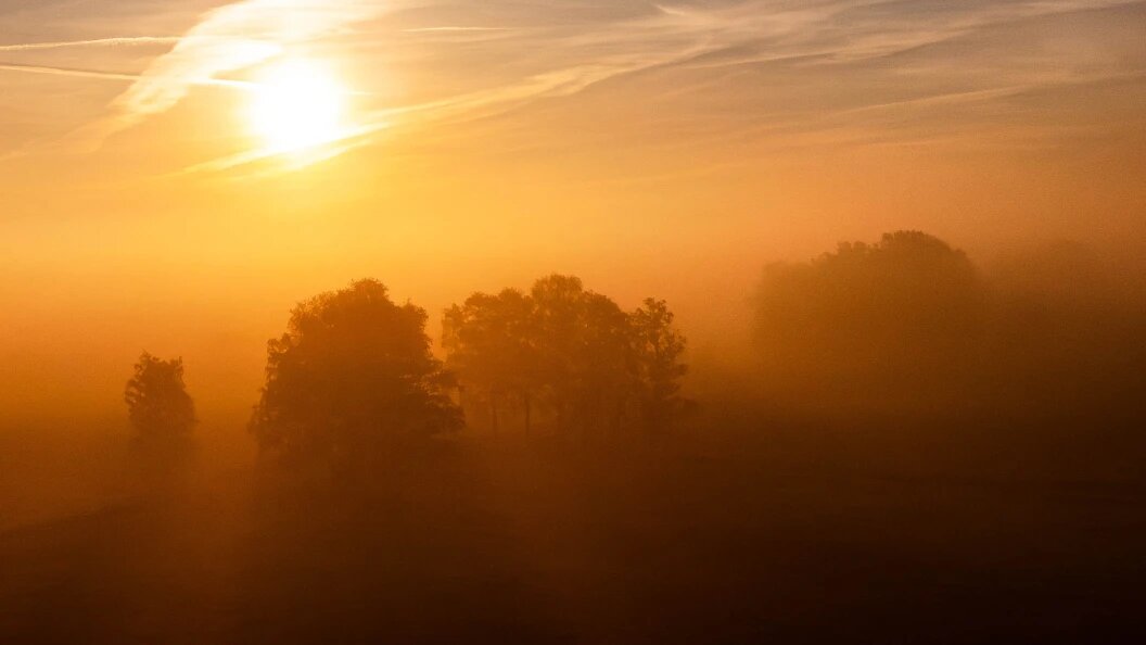    Sina Schuldt/dpa/Globallookpress