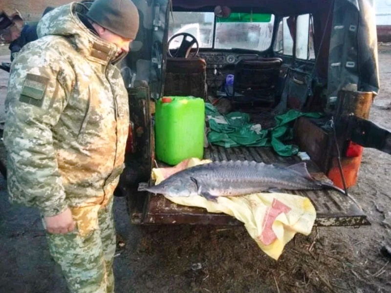 Конфисковали рыбу