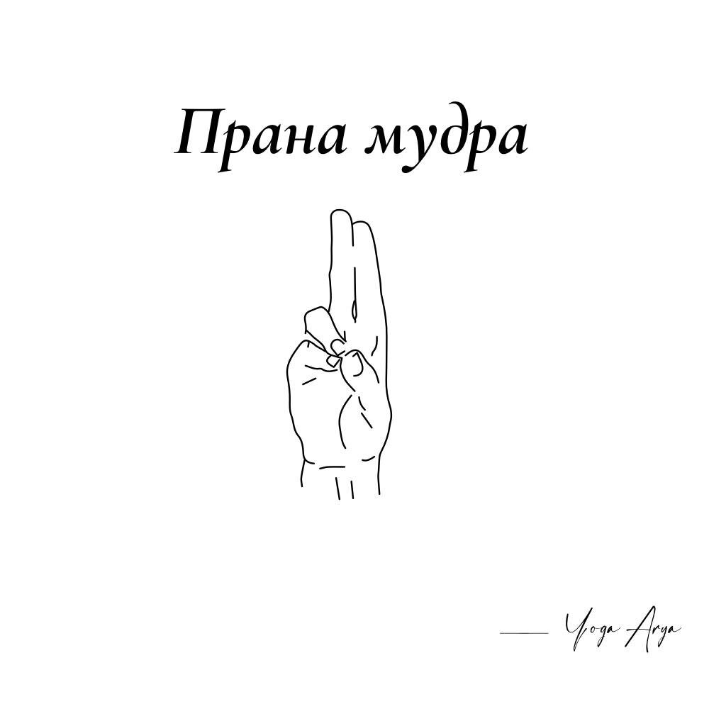 Прана мудра