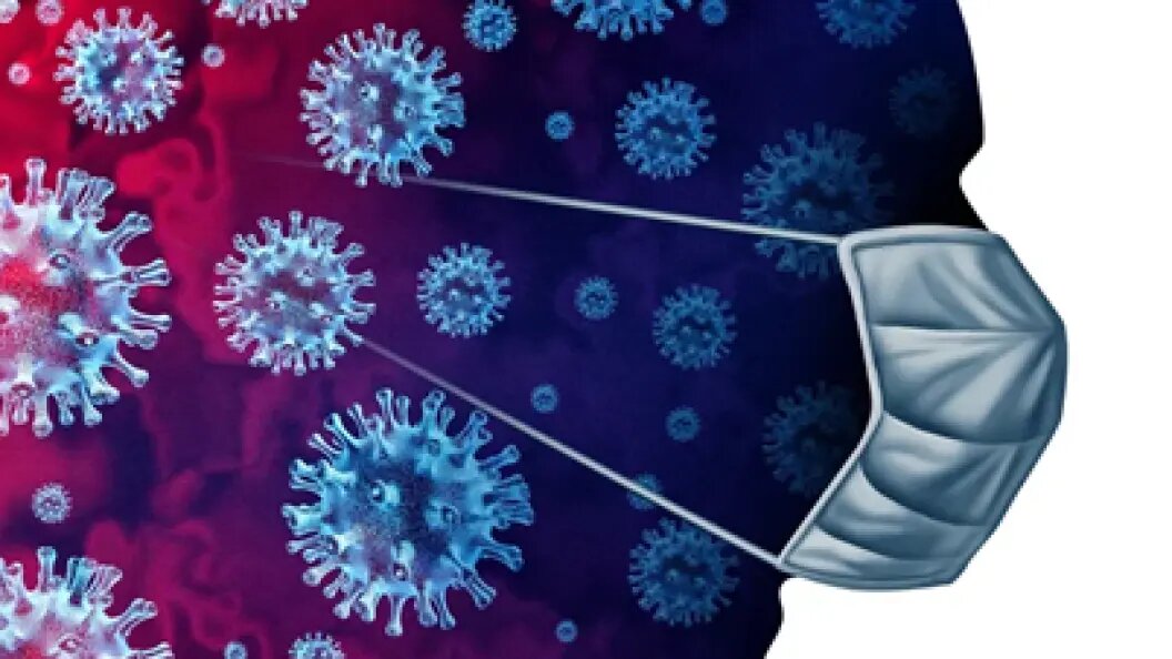    Фото: коллаж Царьграда