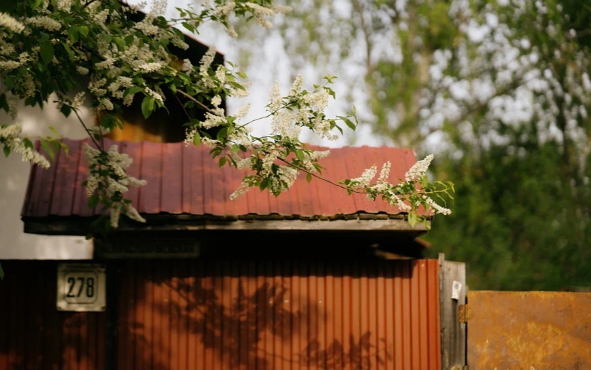    Погода в Ижевске на месяц: наступит ли долгожданное тепло в мае 2025 года