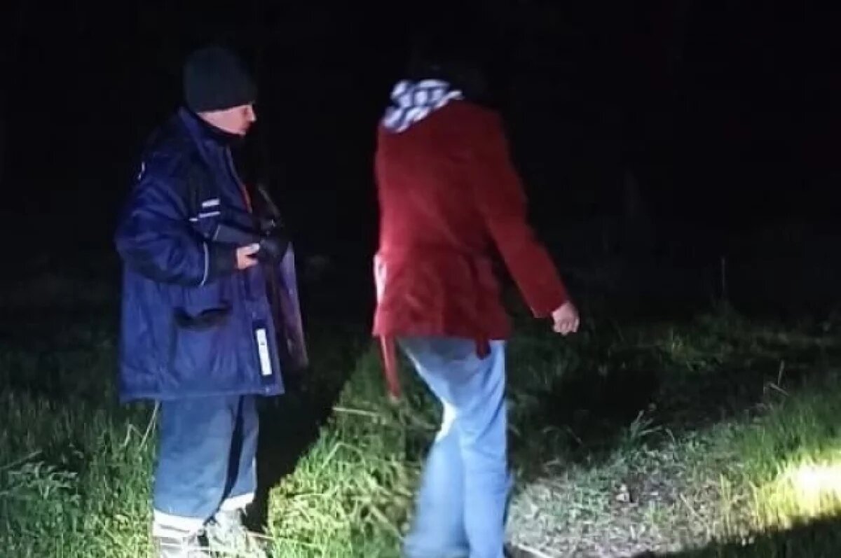    46-летняя женщина потерялась в лесу под Барнаулом