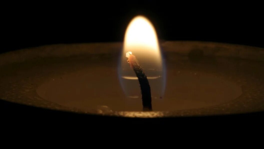    Фото: globallookpress.com/Globallookpress