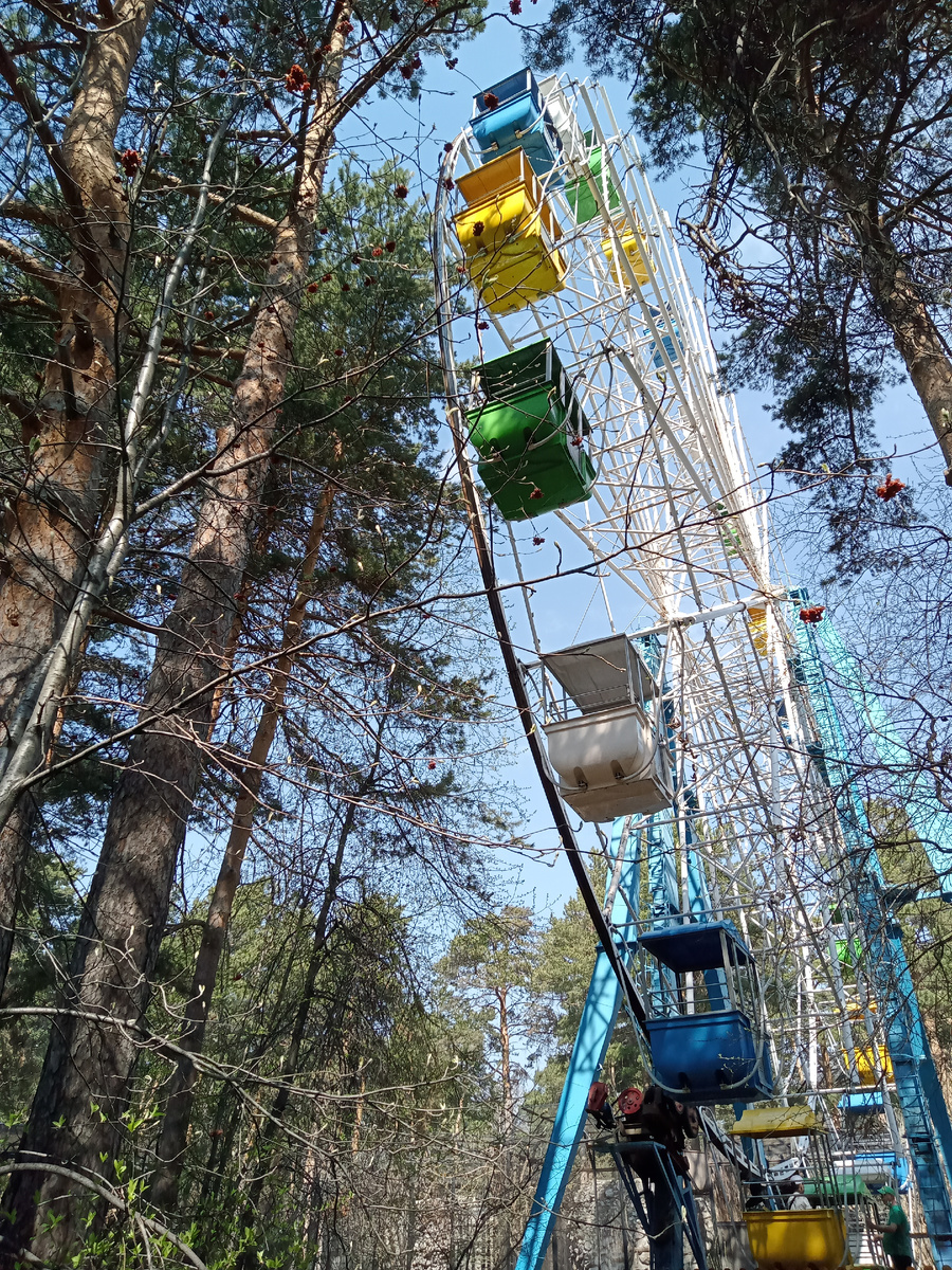 В нашем зоопарке 